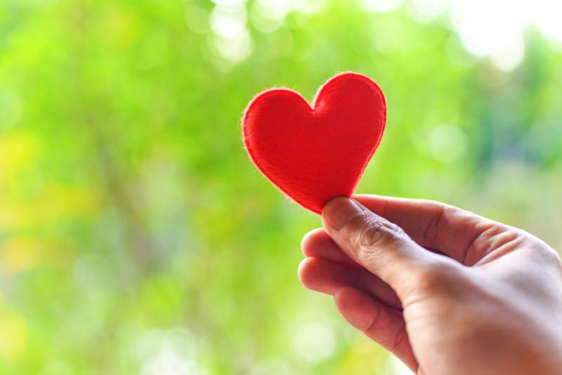 دانلود عکس قلب مخملی در دست