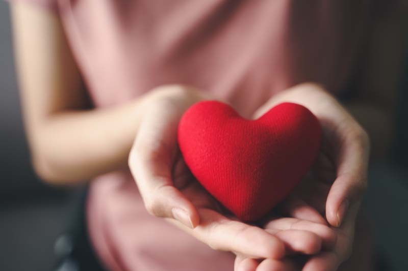 دانلود عکس قلب مخملی در کف دست ها