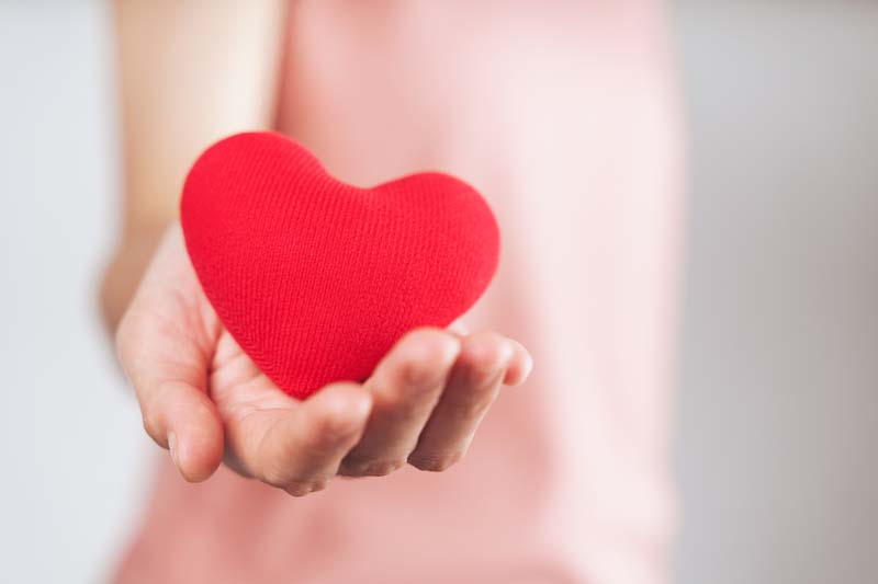 دانلود عکس قلب مخملی در کف دست 