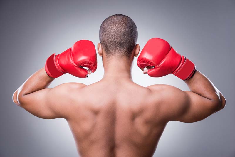 عکس زیبا از  بوکسور با موهای کوتاه