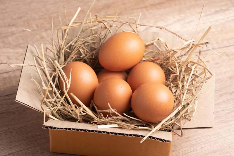 عکس زیبا از تخم مرغ ها در کارتن