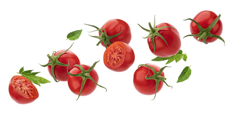 طرح دوربری شده گوجه و گوجه برش خورده