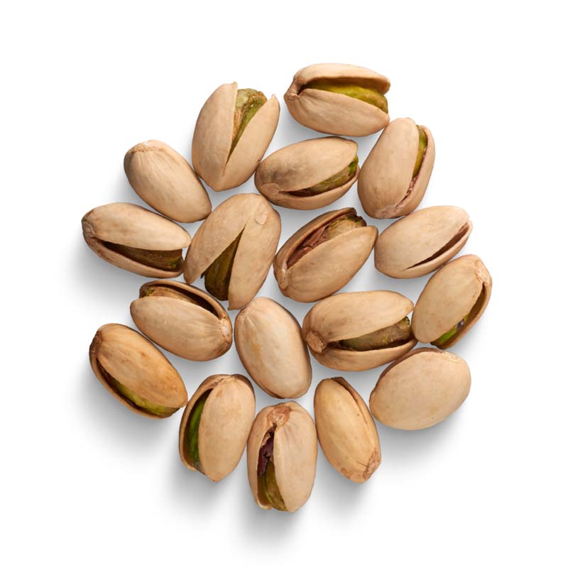 دانلود طرح پسته تازه