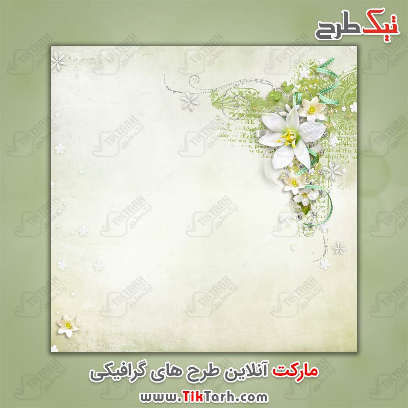 دانلود عکس پس زمینه طرح گل های سفید زیبا