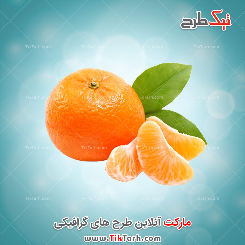 دانلود طرح لایه باز نارنگی