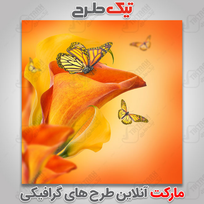 دانلود عکس گرافیکی پروانه ها