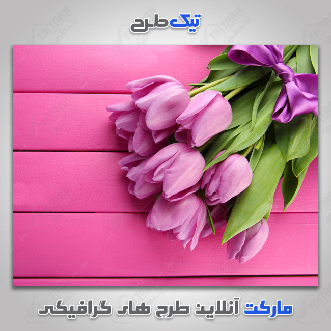 دانلود عکس با کیفیت دسته گل بنفش