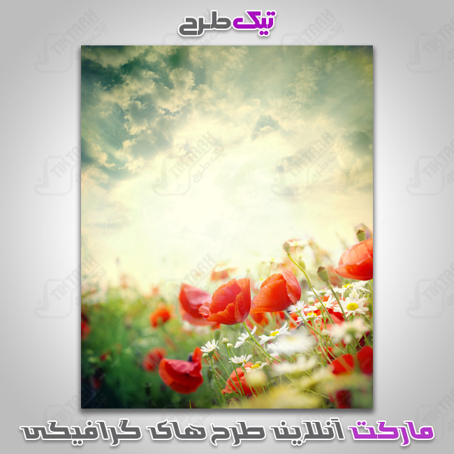 دانلود عکس گرافیکی دشت پر از گل