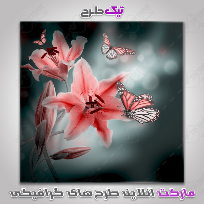 دانلود عکس گرافیکی گل و پروانه