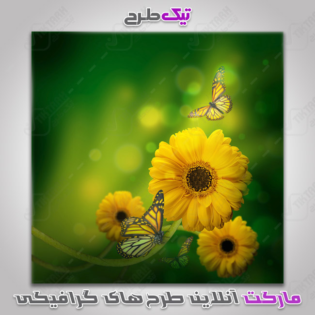 دانلود عکس گرافیکی گل زرد زیبا