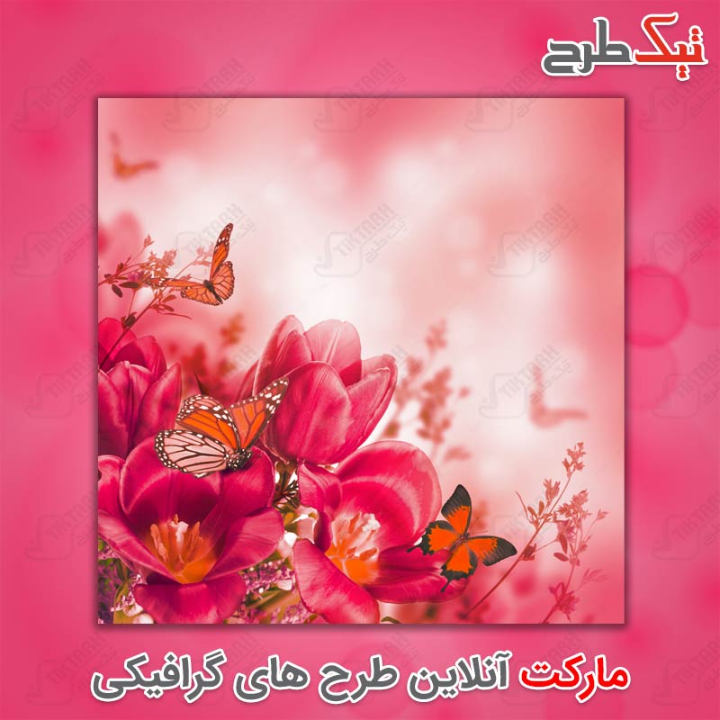دانلود عکس با کیفیت گل های رویایی