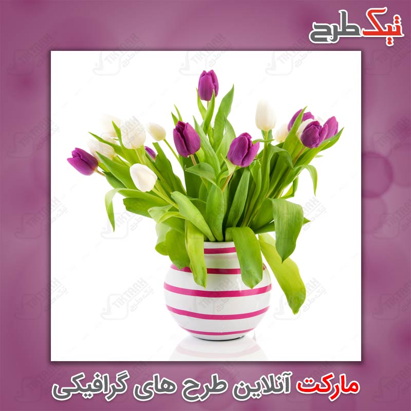 عکس لارج فرمت گلدان گل های بنفش
