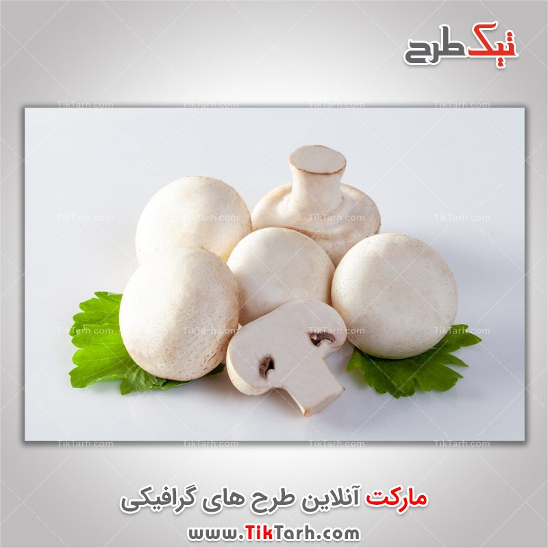 عکس لارج فرمت قارچ