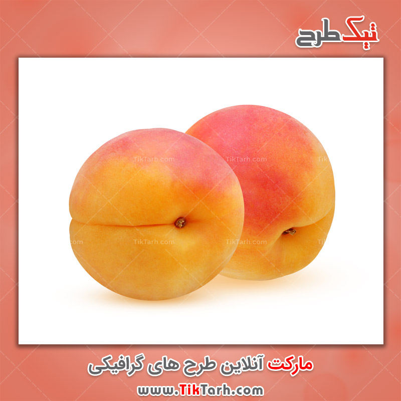 دانلود عکس لارج فرمت زرد آلو