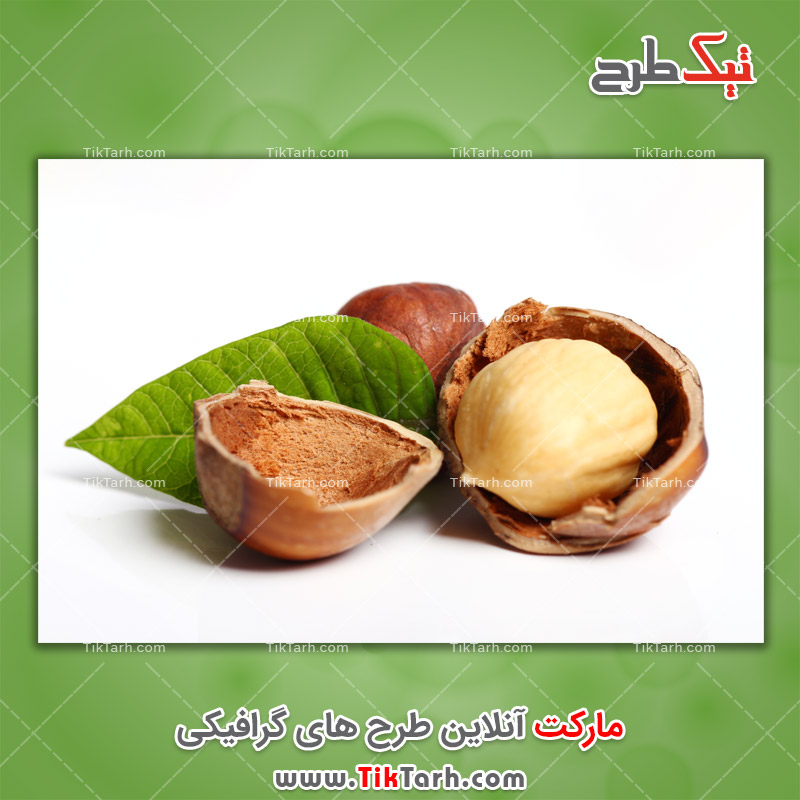 دانلود عکس با کیفیت فندق