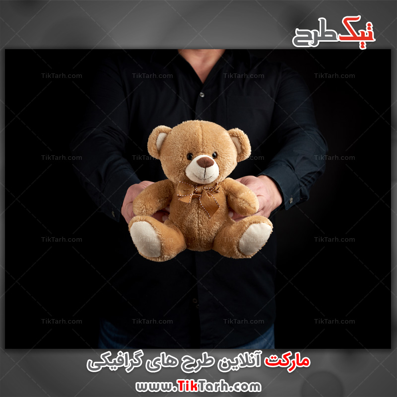 تصویر لارج فرمت خرس عروسکی قهوای