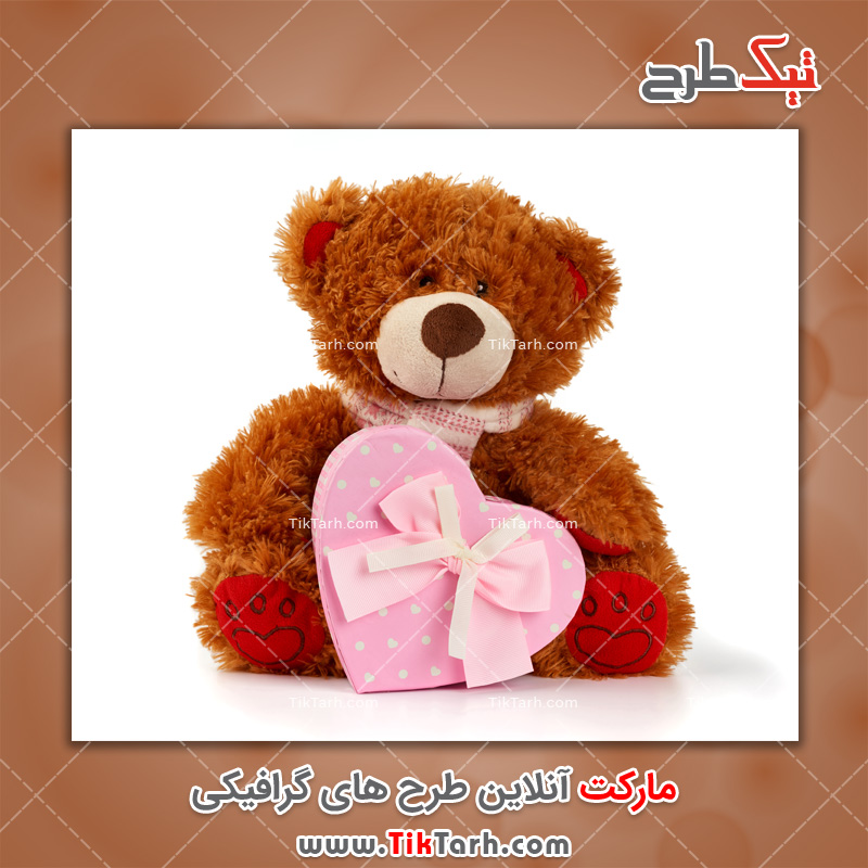 تصویر لارج فرمت عروسک خرس به همراه جعبه کادو