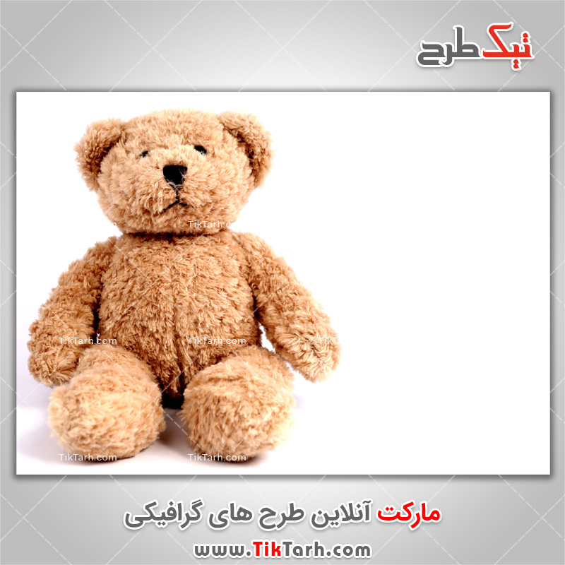 دانلود تصویر با کیفیت عروسک خرس پشمالو