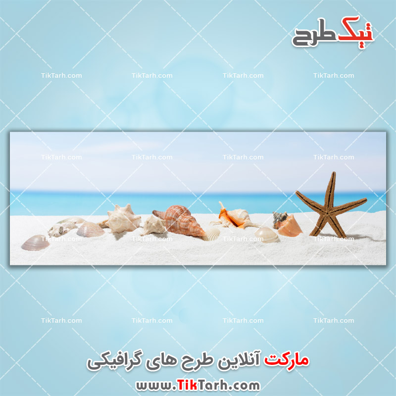 دانلود تصویر با کیفیت ساحل و صدف های زیبا