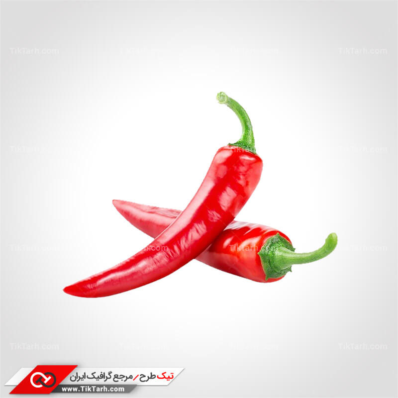دانلود طرح گرافیکی و آماده فلفل قرمز