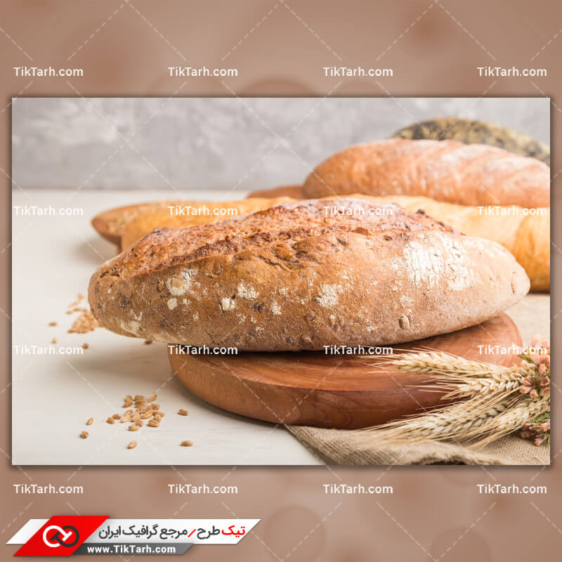 دانلود تصویر با کیفیت نان جو و خوشه جو