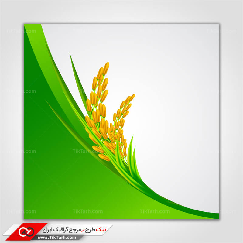 پس زمینه طراحی با طرح خوشه گندم