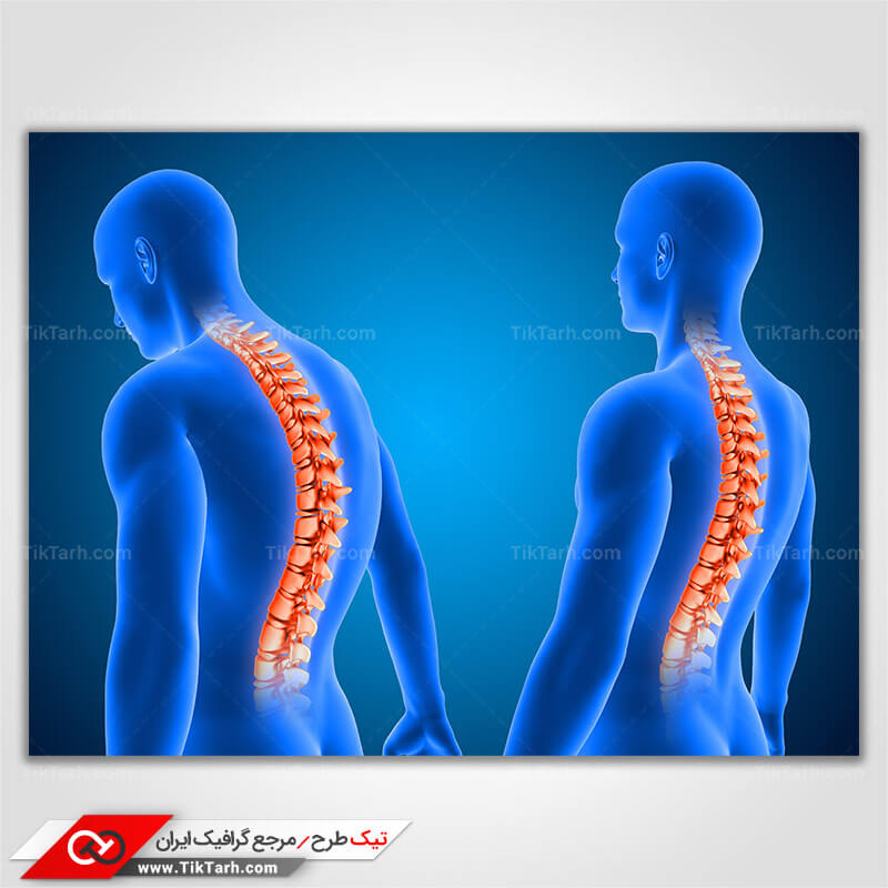 دانلود تصویر با کیفیت ستون فقرات