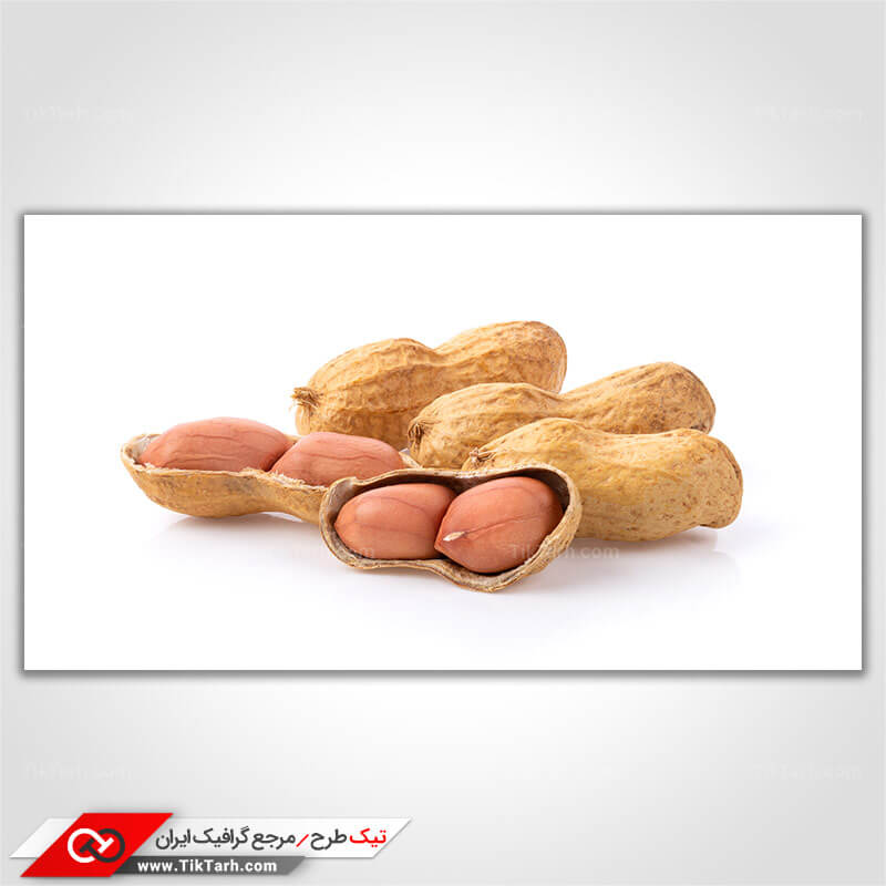 تصویر با کیفیت مغز بادام زمینی