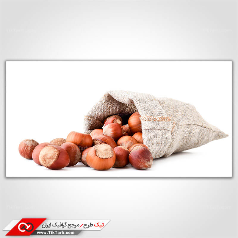 عکس زیبای فندق
