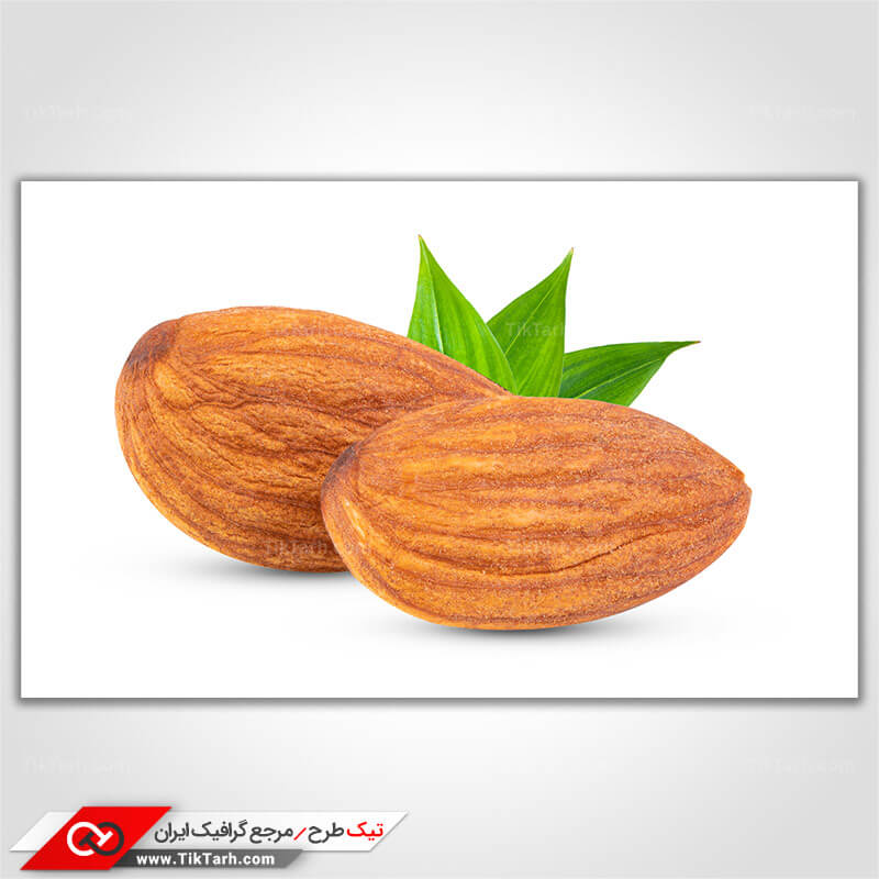 تصویر باکیفیت مغز بادام درختی