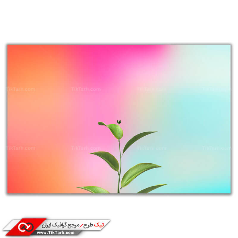 طرح لایه باز پس زمینه طرح ساقه