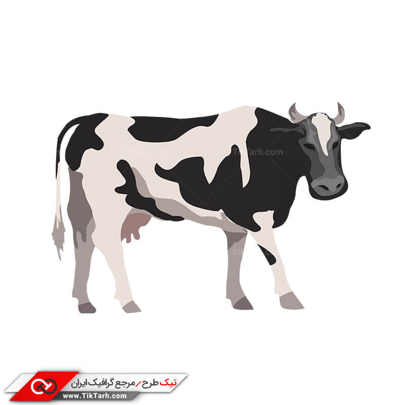 طرح گرافیکی کلیپ آرت گاو