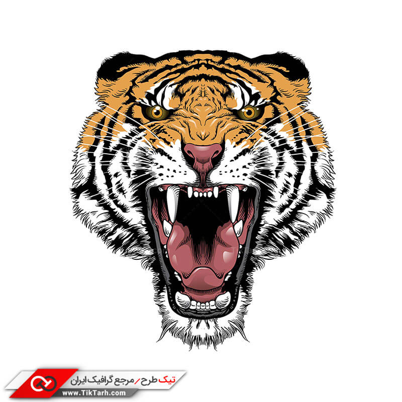 طرح گرافیکی کلیپ آرت غرش ببر