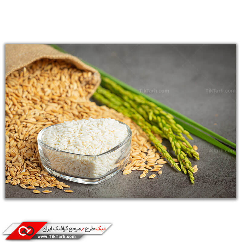 دانلود تصویر لارج فرمت غلات