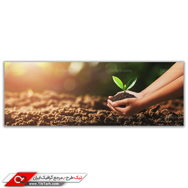دانلود عکس باکیفیت جوانه گیاه