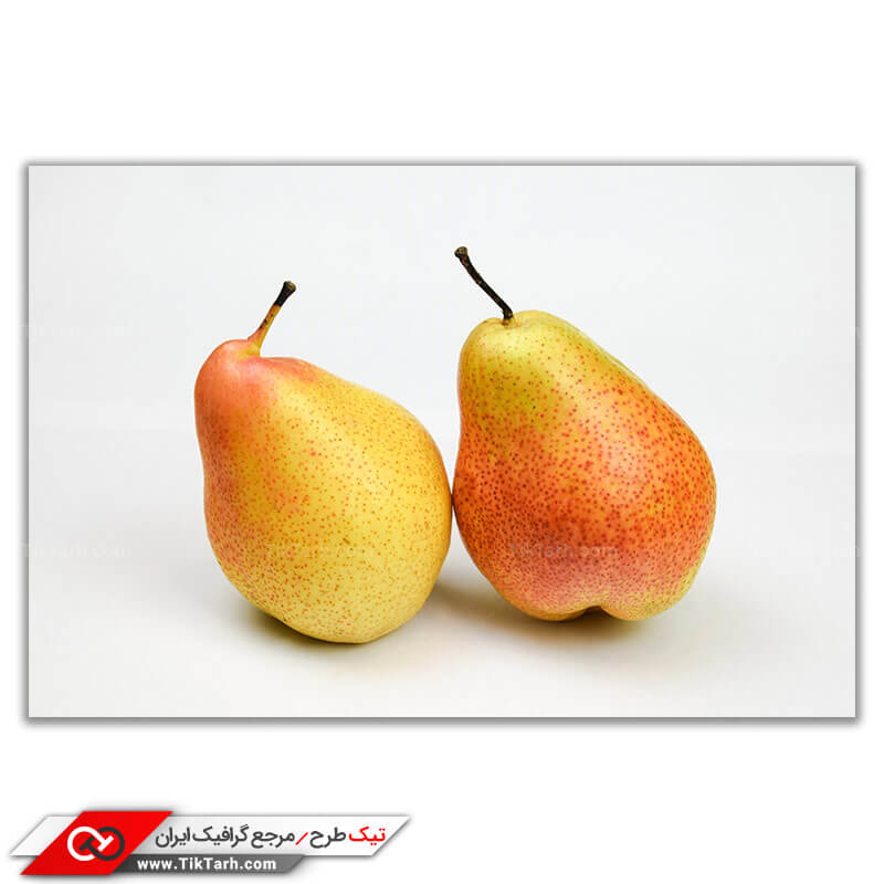 دانلود عکس زیبا و با کیفیت گلابی