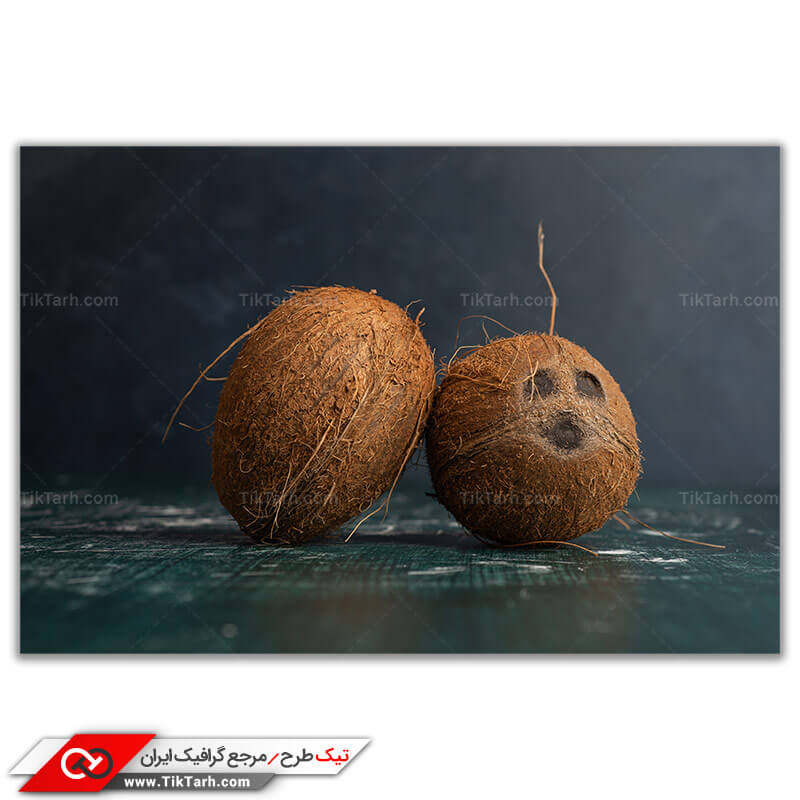 تصویر باکیفیت از میوه ی نارگیل