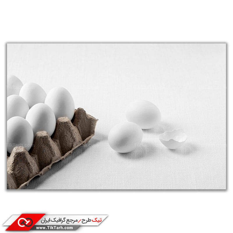 دانلود عکس گرافیکی تخم مرغ