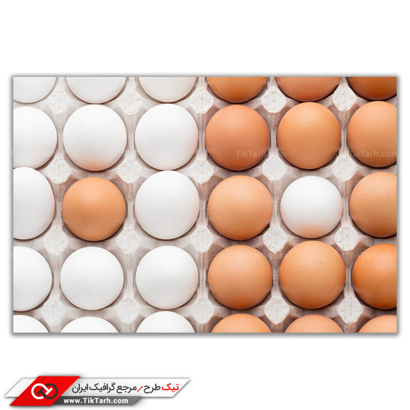 دانلود عکس باکیفیت گرافیکی تخم مرغ