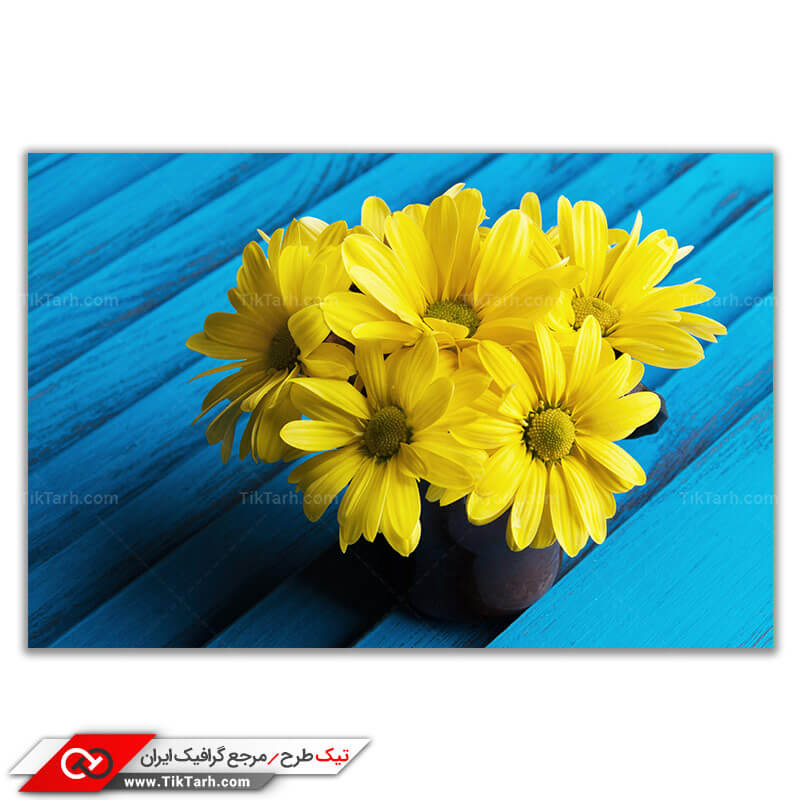 تصویر باکیفیت گل های طبیعی