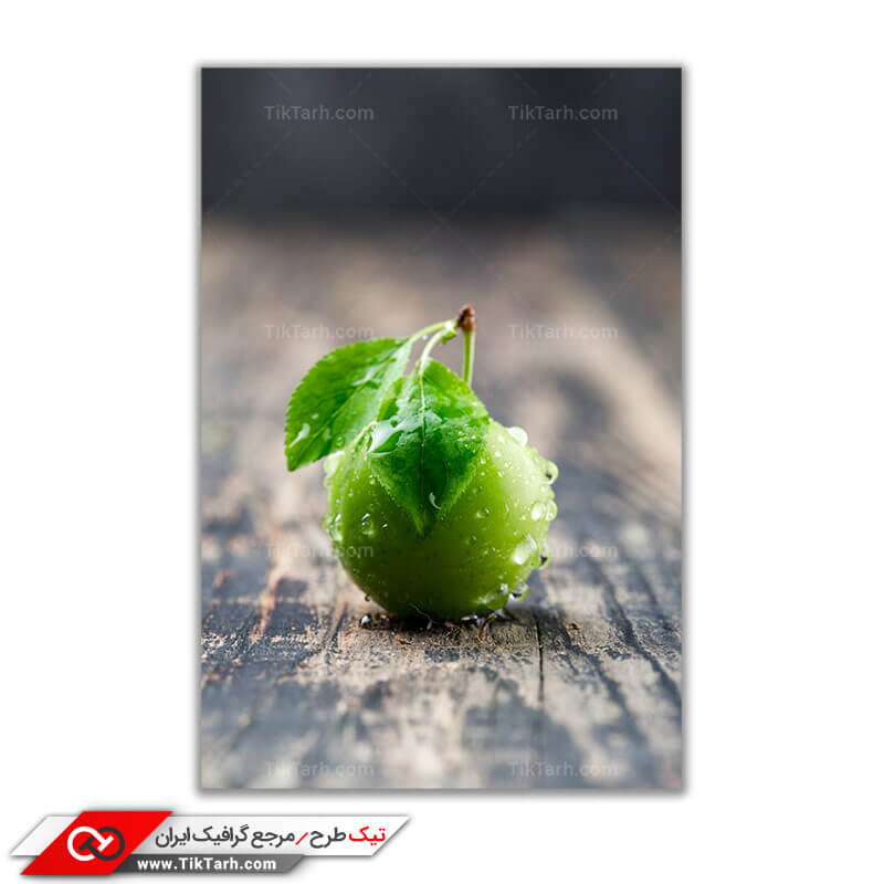 دانلود تصویر باکیفیت آلوچه جنگلی