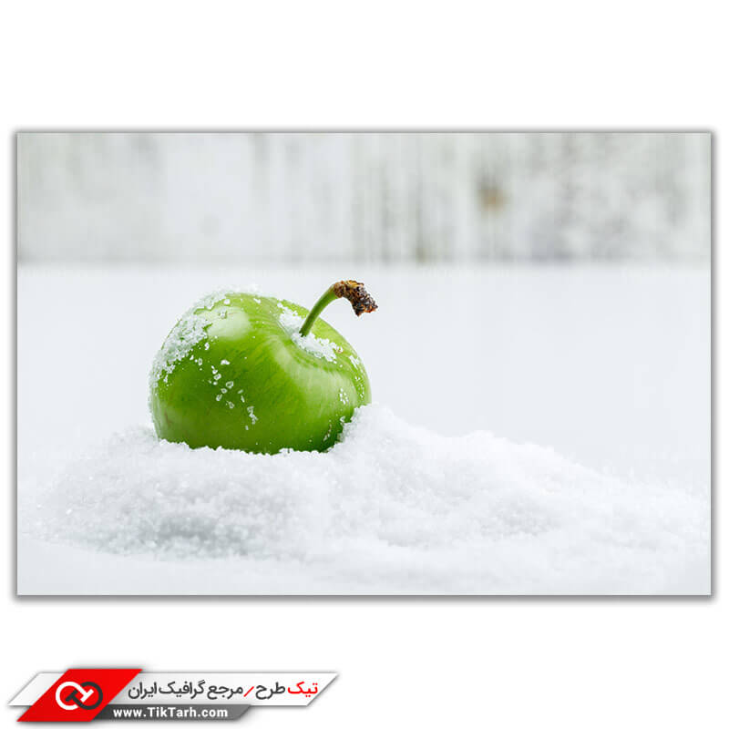 تصویر باکیفیت آلوچه سبز روی نمک