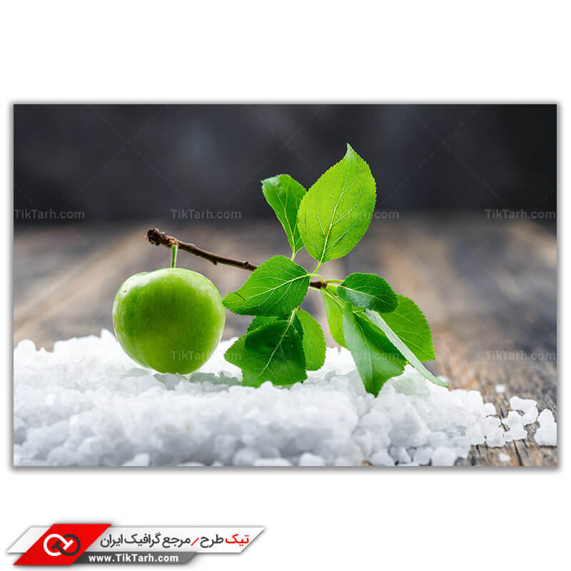 دانلود عکس گرافیکی باکیفیت آلوچه جنگلی