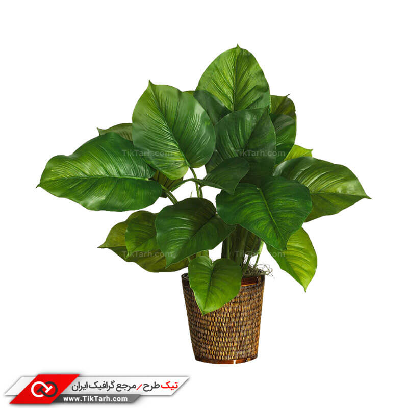 دانلود طرح گرافیکی گلدان زینتی
