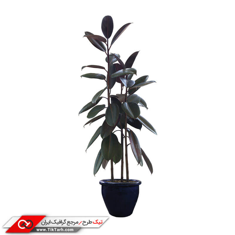 طرح گلدان زینتی