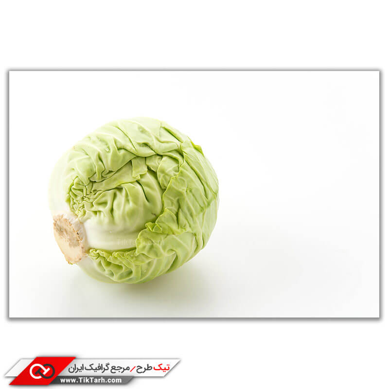 تصویر باکیفیت از کلم برگ