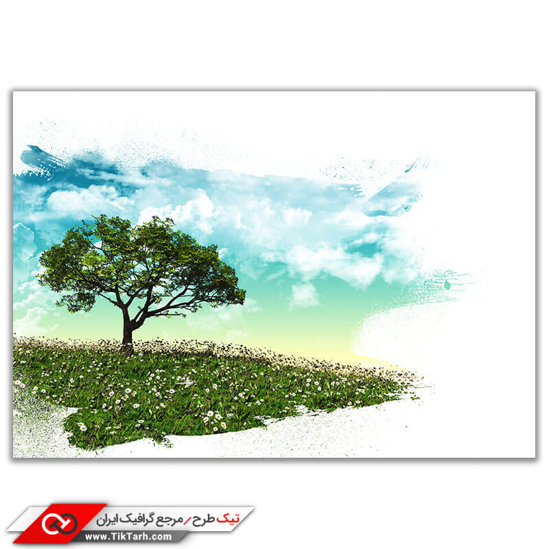 تصویر باکیفیت درخت سبز