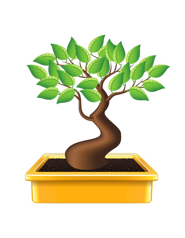 دانلود طرح کلیپ آرت بونسای