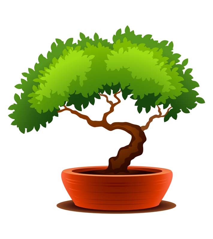 طرح کلیپ آرت درخت بونسای