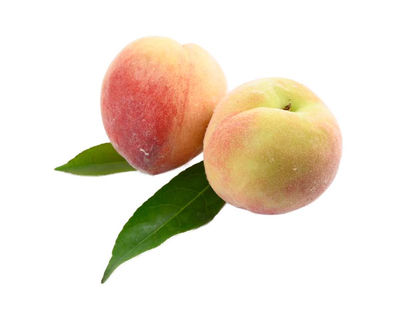 طرح دو میوه هلو با برگ